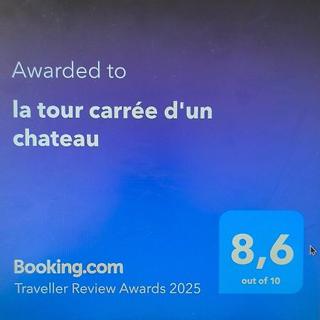 La Tour Carree D'Un Chateau Auzouer-en-Touraine Kültér fotó